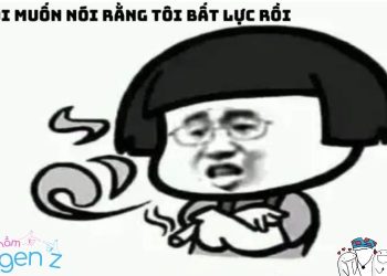 Bộ sưu tập gen z meme hết cứu hài hước