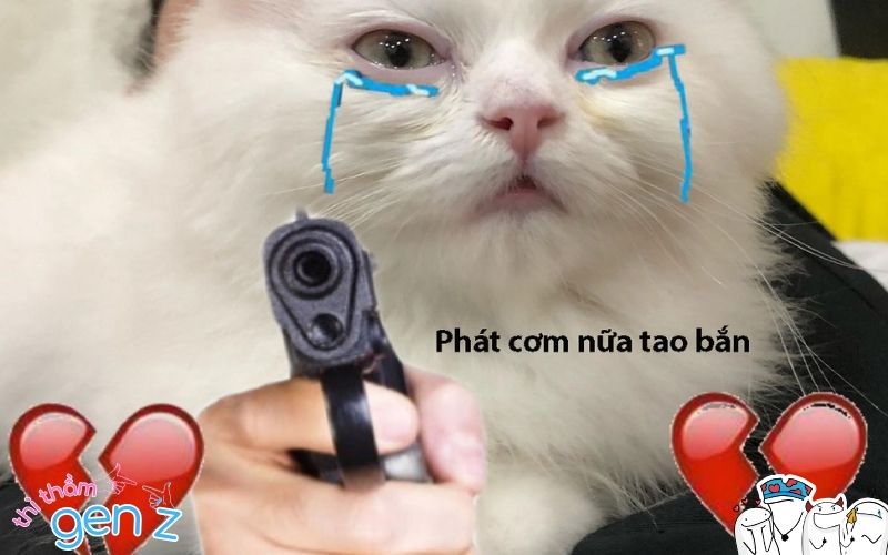 Meme cẩu lương sử dụng phổ biến