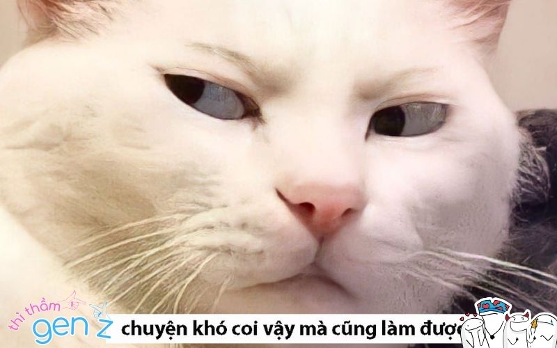 Meme cẩu lương xéo sắc