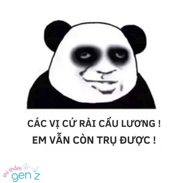 Meme được ăn cơm chó trong hạnh phúc