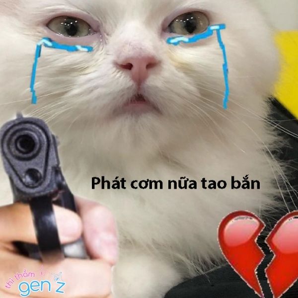 Cơm chó meme “phát cơm nữa là bị bắn”
