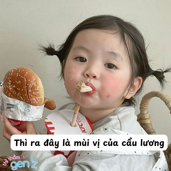 Meme bày tỏ cảm xúc khi được ăn cẩu lương
