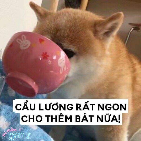 Meme muốn được nhận thêm nhiều hint cơm chó
