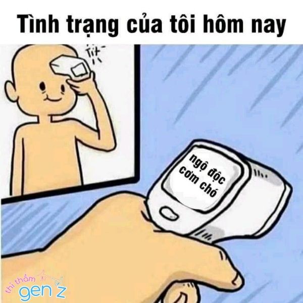 Cơm chó meme bị ngộ độc