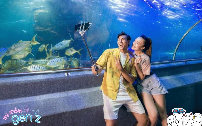 VinKE & Vinpearl Aquarium là thiên đường hẹn hò của các cặp đôi