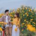 Top 5 địa điểm đi date ở Hà Nội mà các cặp đôi không thể bỏ qua
