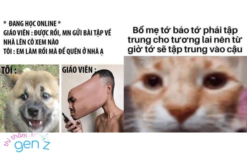 Nhiều meme lươn lẹo khiến Gen Z phải bật cười vì sự hài hước, mặn mòi