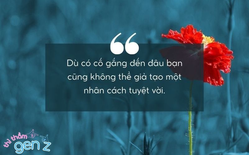 Icon suy ngẫm về cuộc đời bộn bề